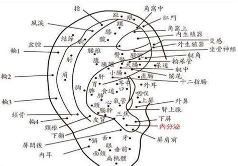 左耳廓有痣|耳朵长痣的位置图解 耳朵长痣的位置图解有福气